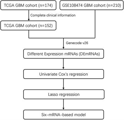 A Novel Six-mRNA Signature Predicts Survival of Patients With Glioblastoma Multiforme